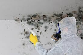 Best Mold Documentation for Insurance Claims  in Downingtown, PA